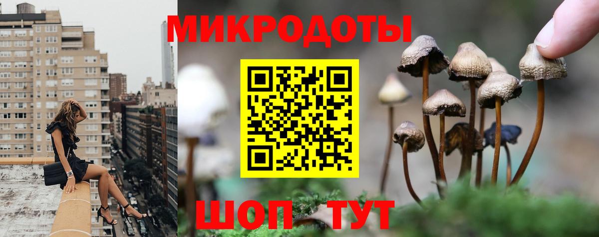 Галлюциногенные грибы Cubensis Заволжье
